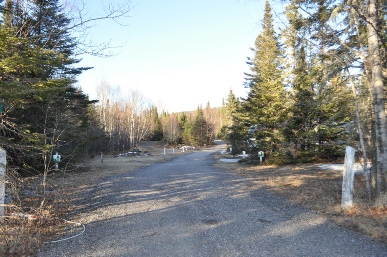 Campground view
